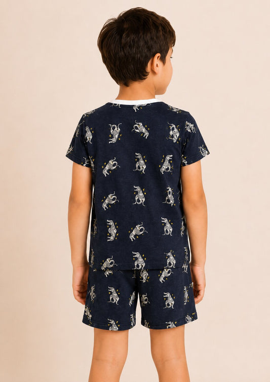Boys Printed T-shirt with Short
