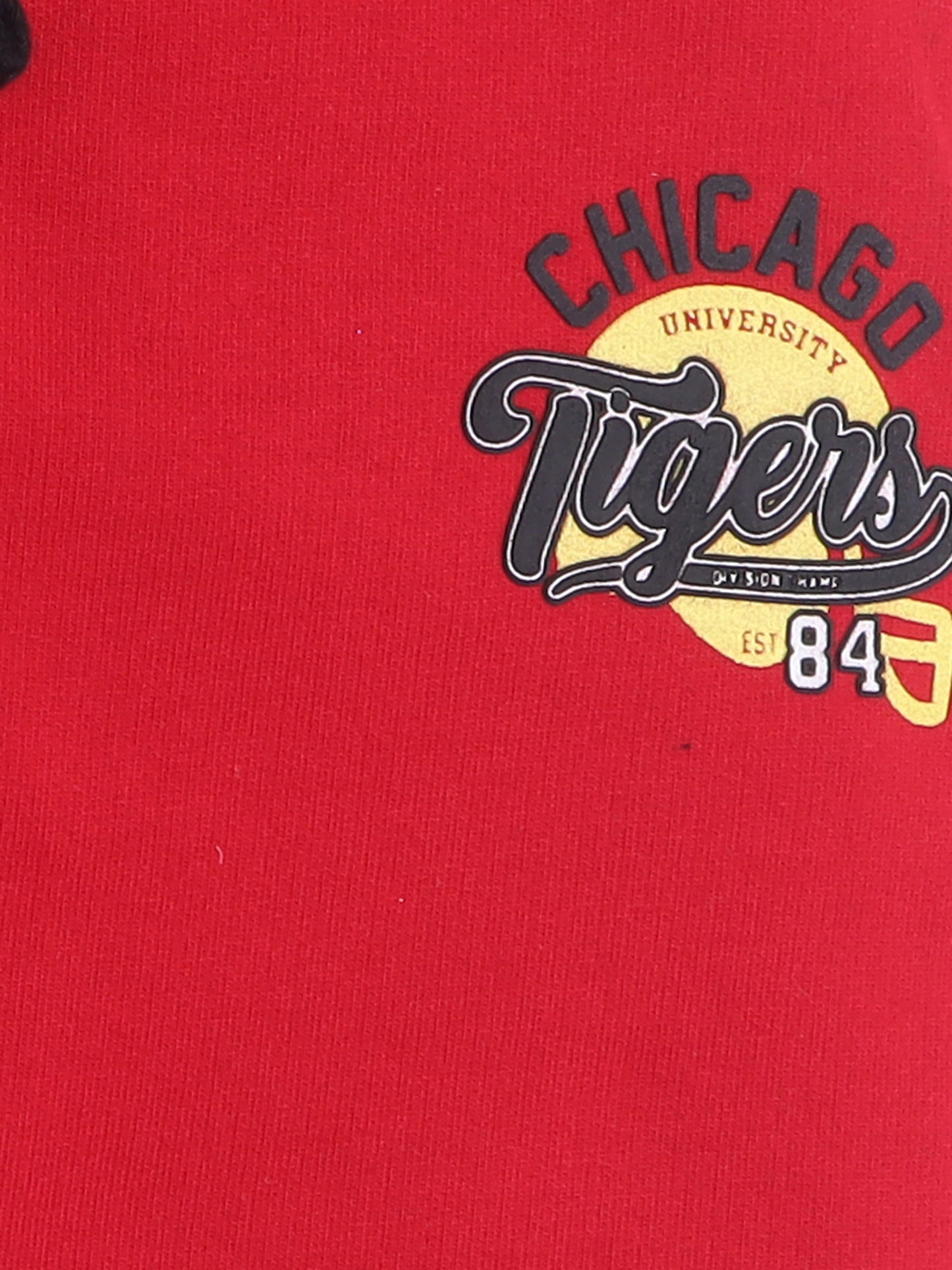 Boys Cotton Joggers Printed