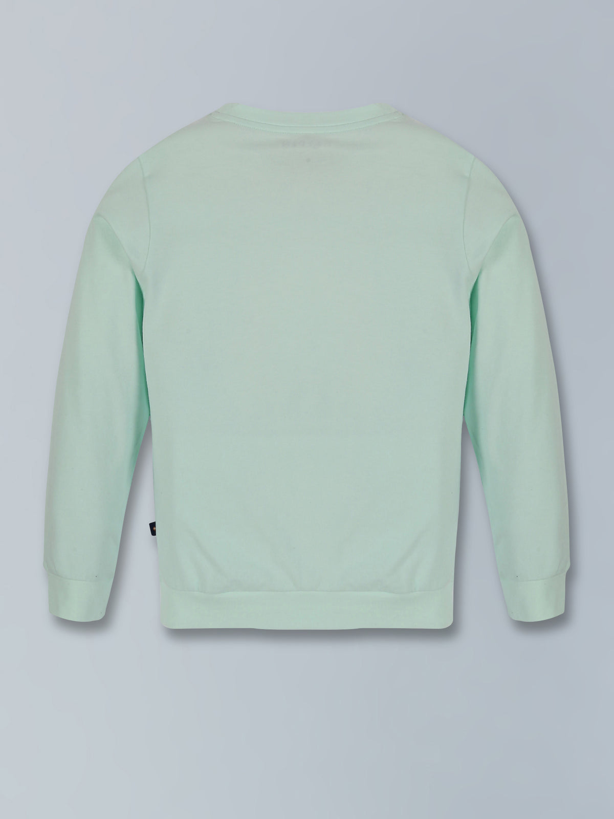 Boys Full Sleeve Tshirt