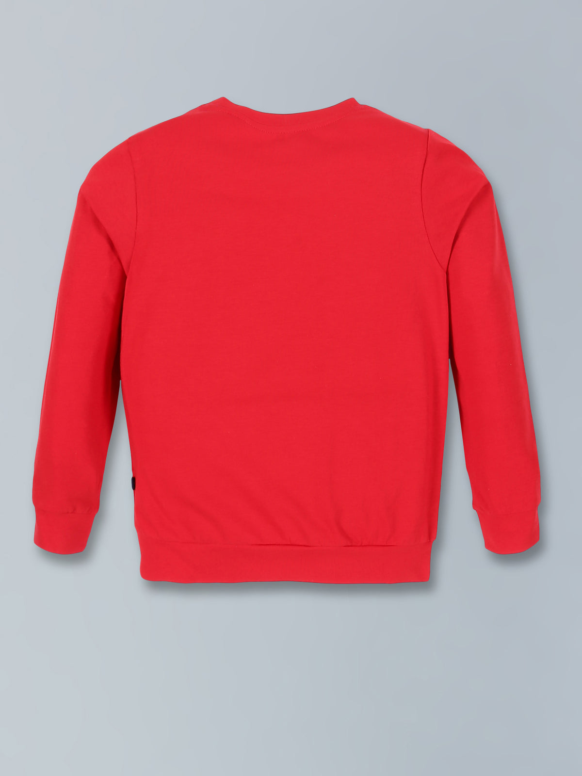 Boys Full Sleeve Tshirt