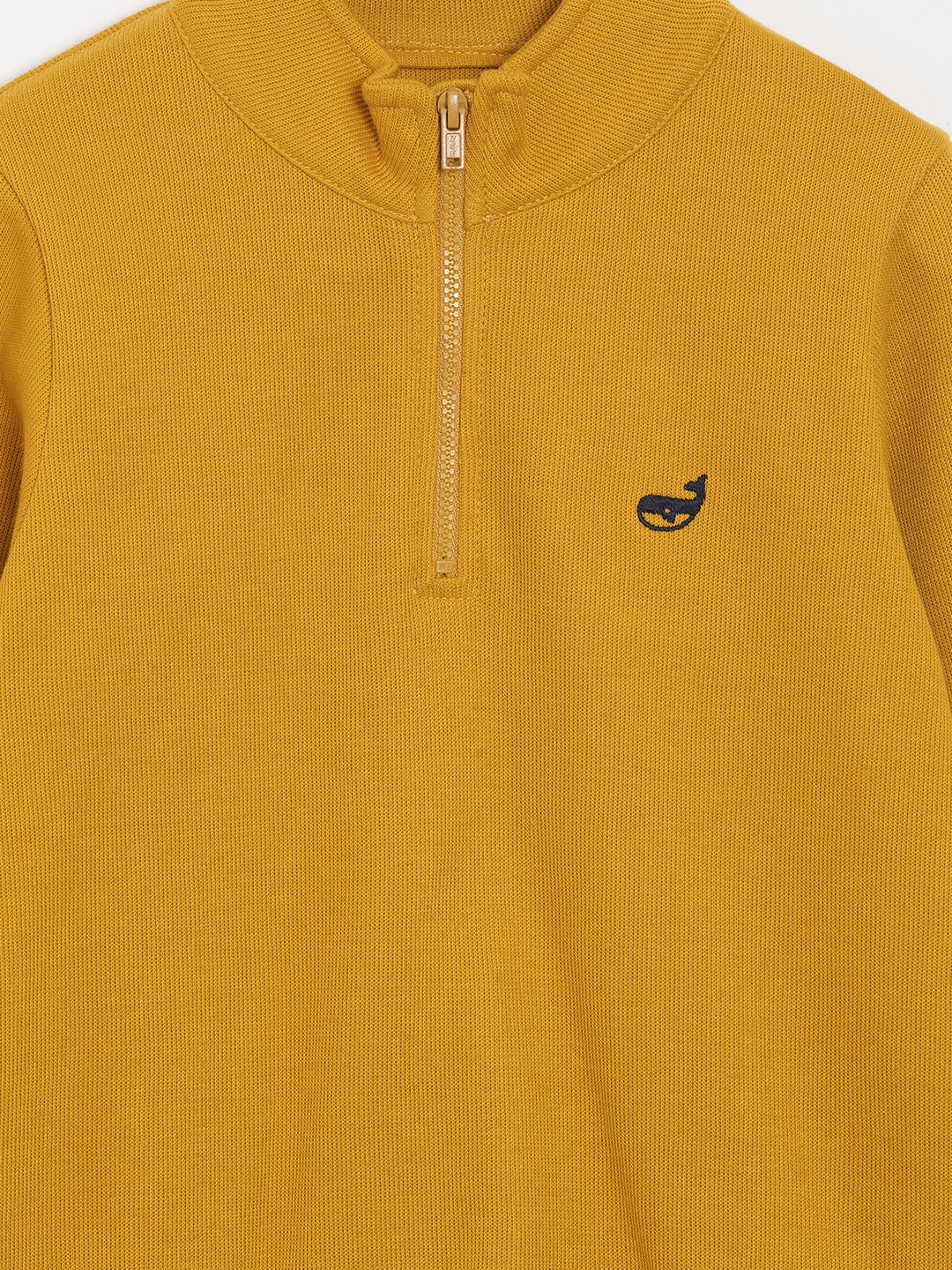 Trendy highneck sweatshirt for boys