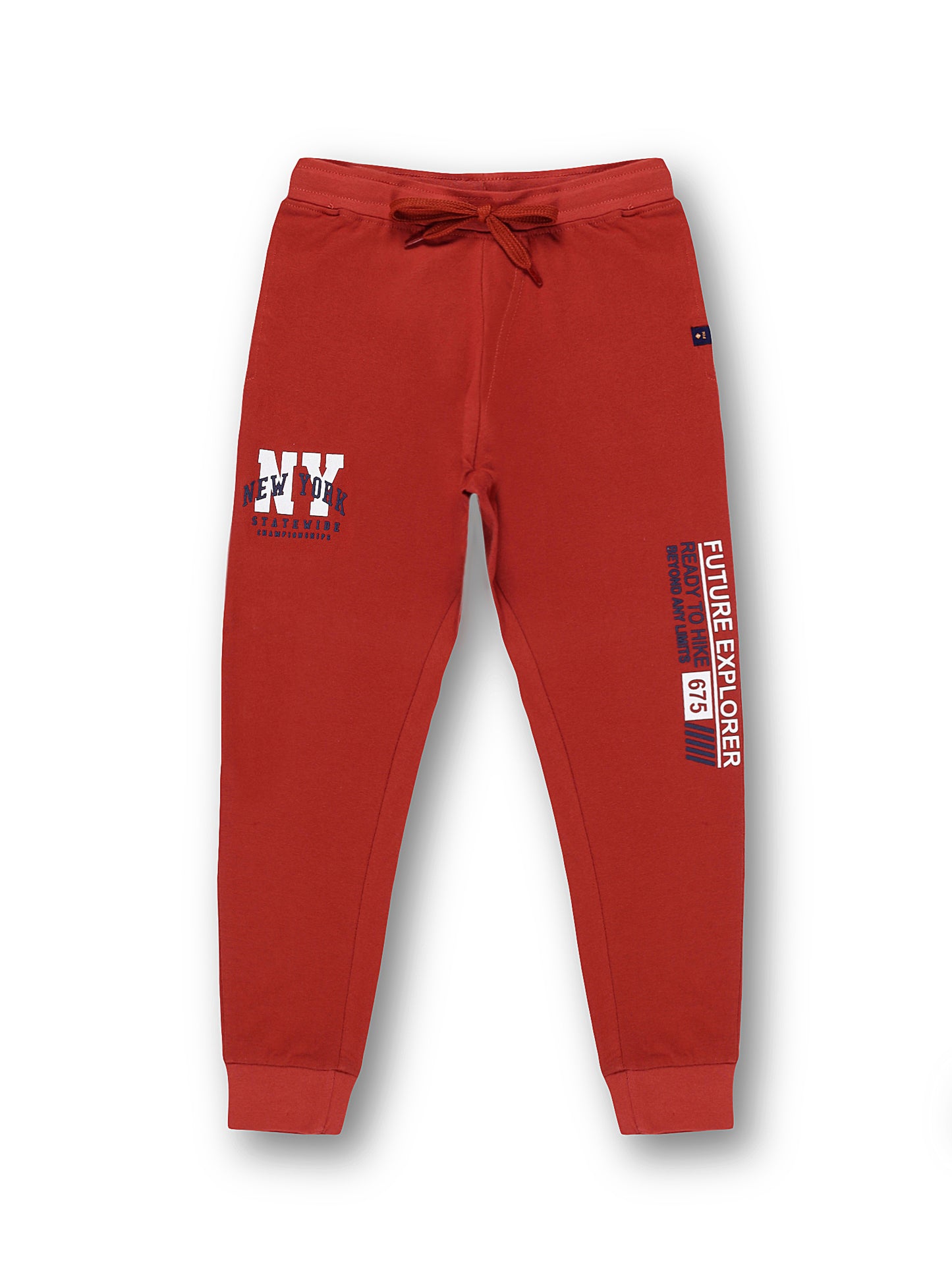 Boys Cotton Joggers Printed