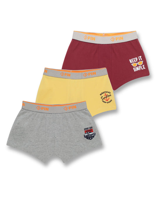 Boys Boxer Briefs Pack Of 3