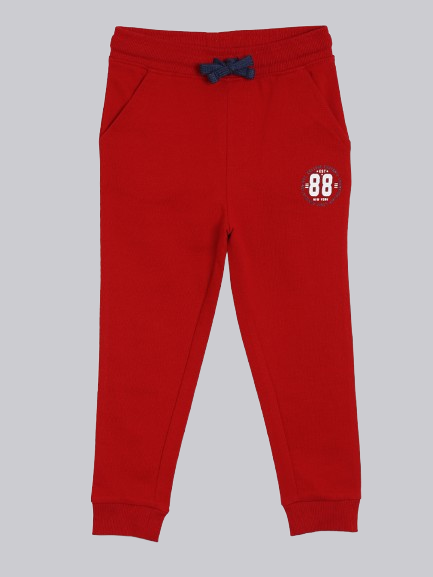 Boys Cotton Joggers Printed