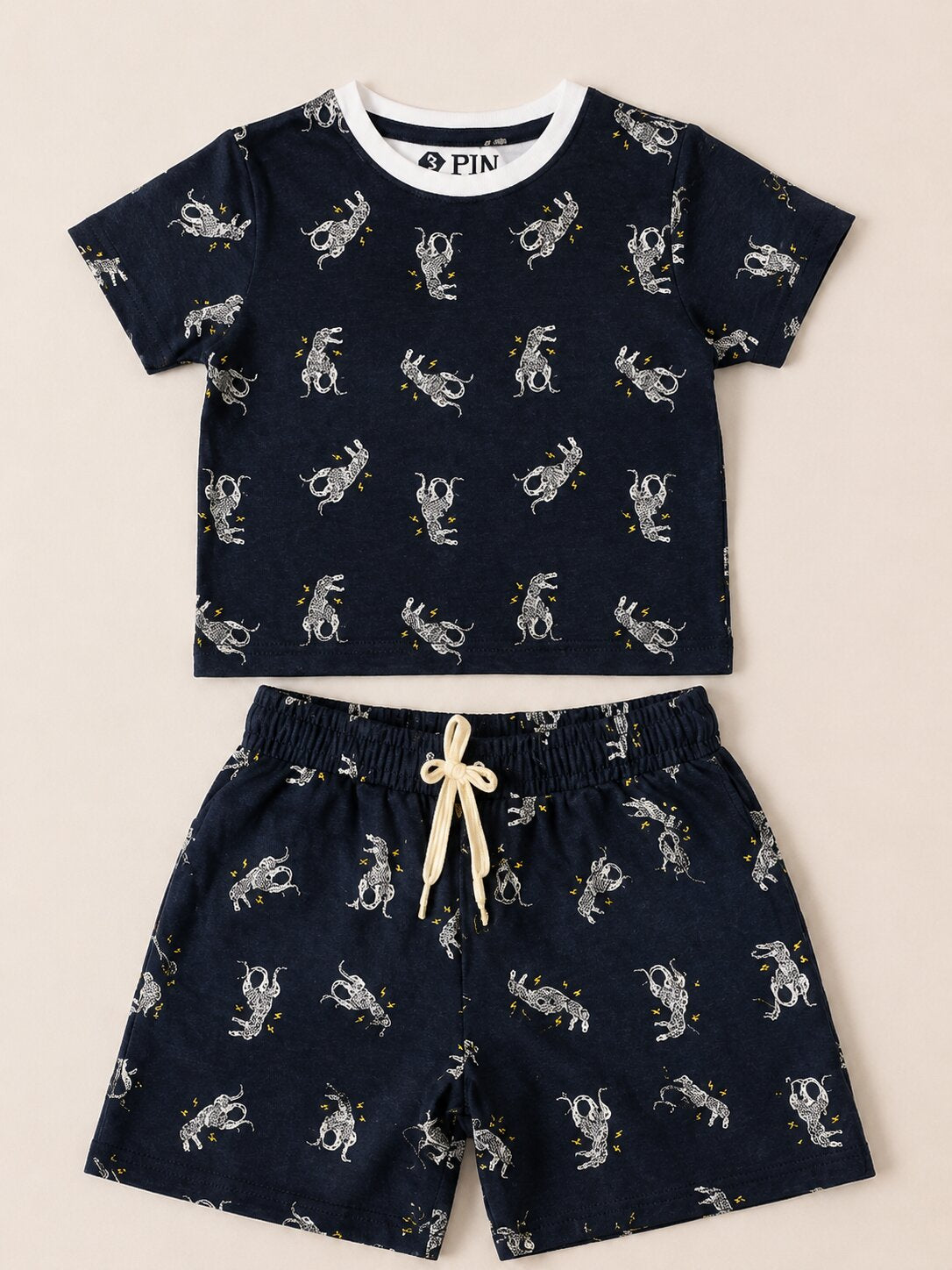 Boys Printed T-shirt with Short