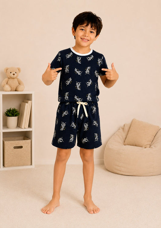Boys Printed T-shirt with Short