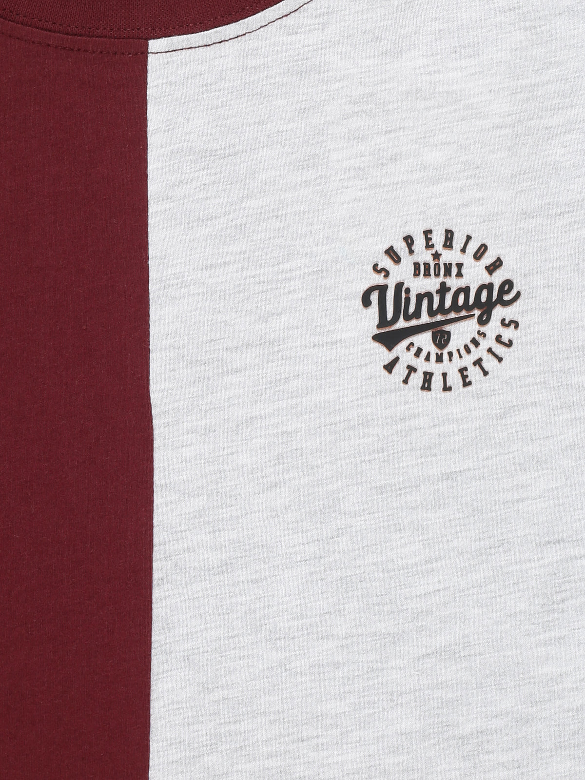 Boys Cotton T-Shirt Printed