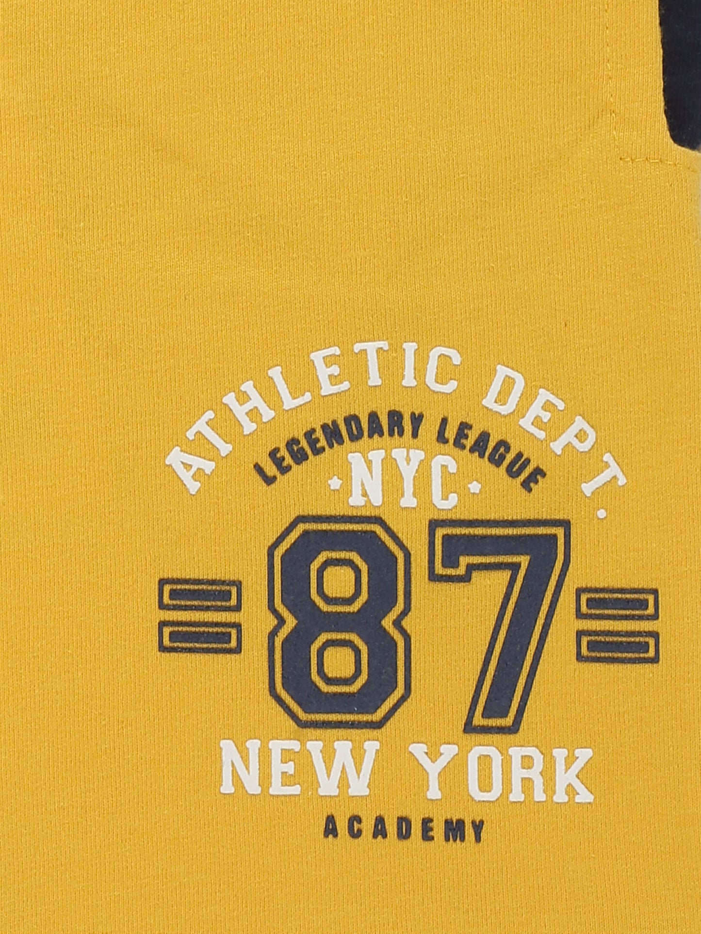 Boys Cotton Shorts Printed