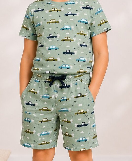 Boys Printed T-shirt with Shorts