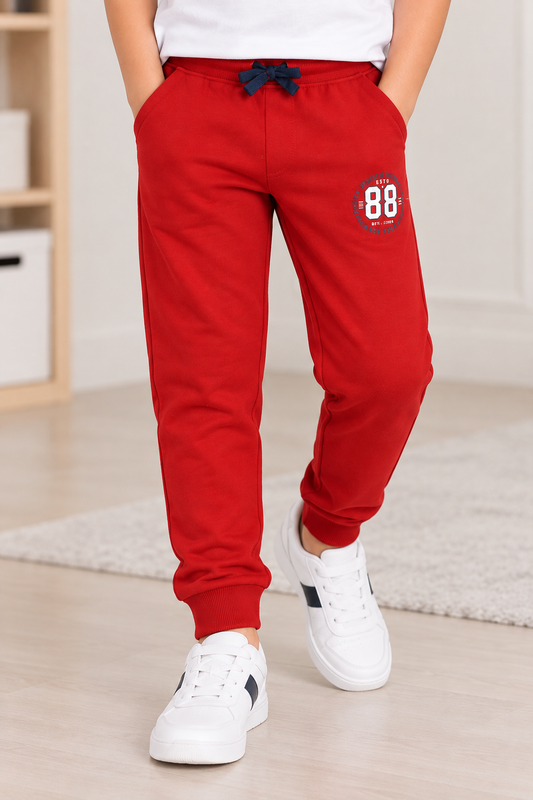 Boys Cotton Joggers Printed