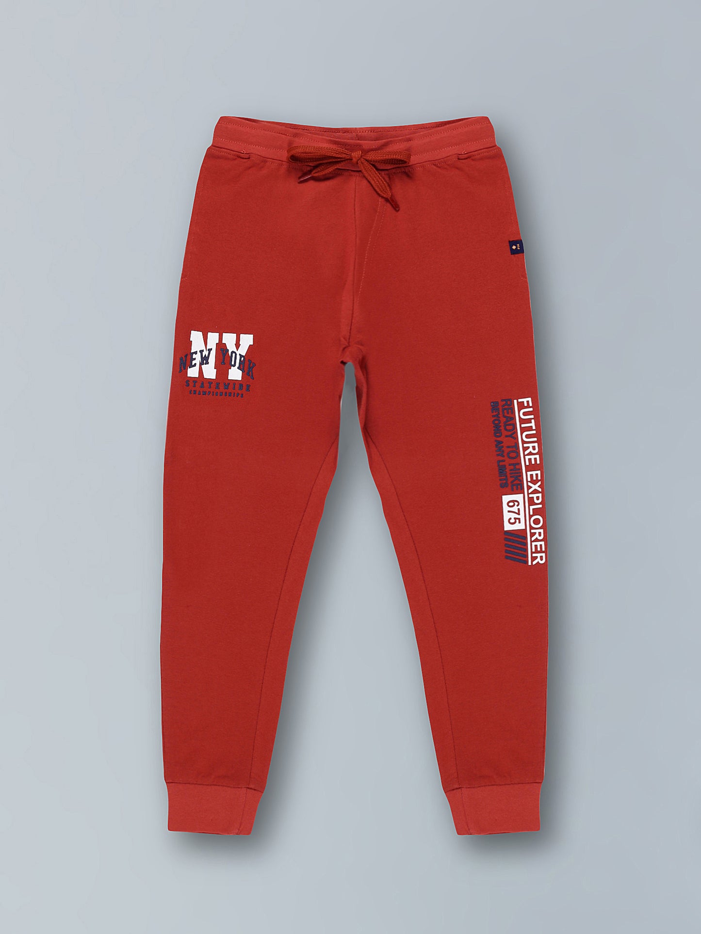 Boys Cotton Joggers Printed