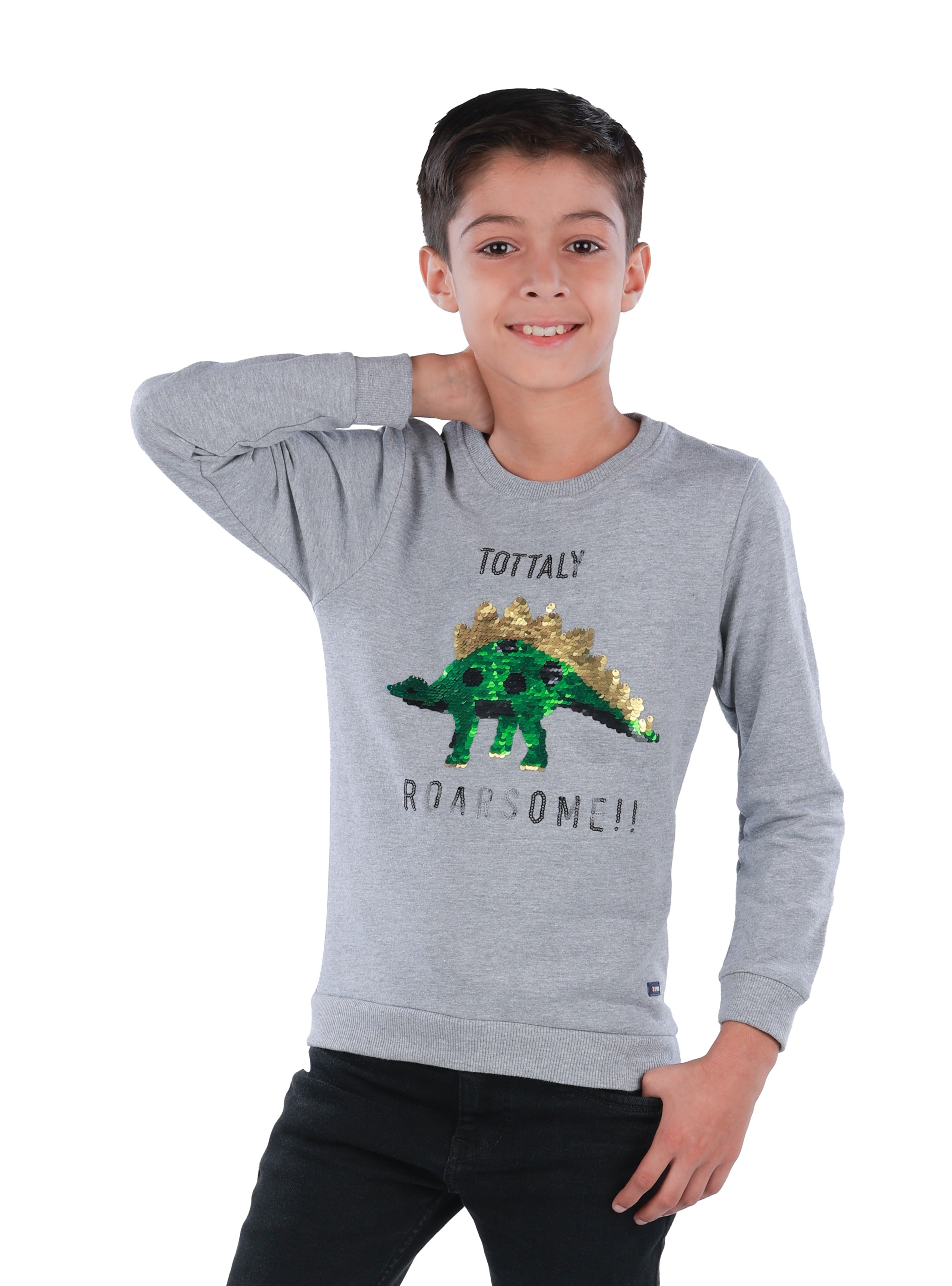 Printed Sweatshirt - Grey Melange