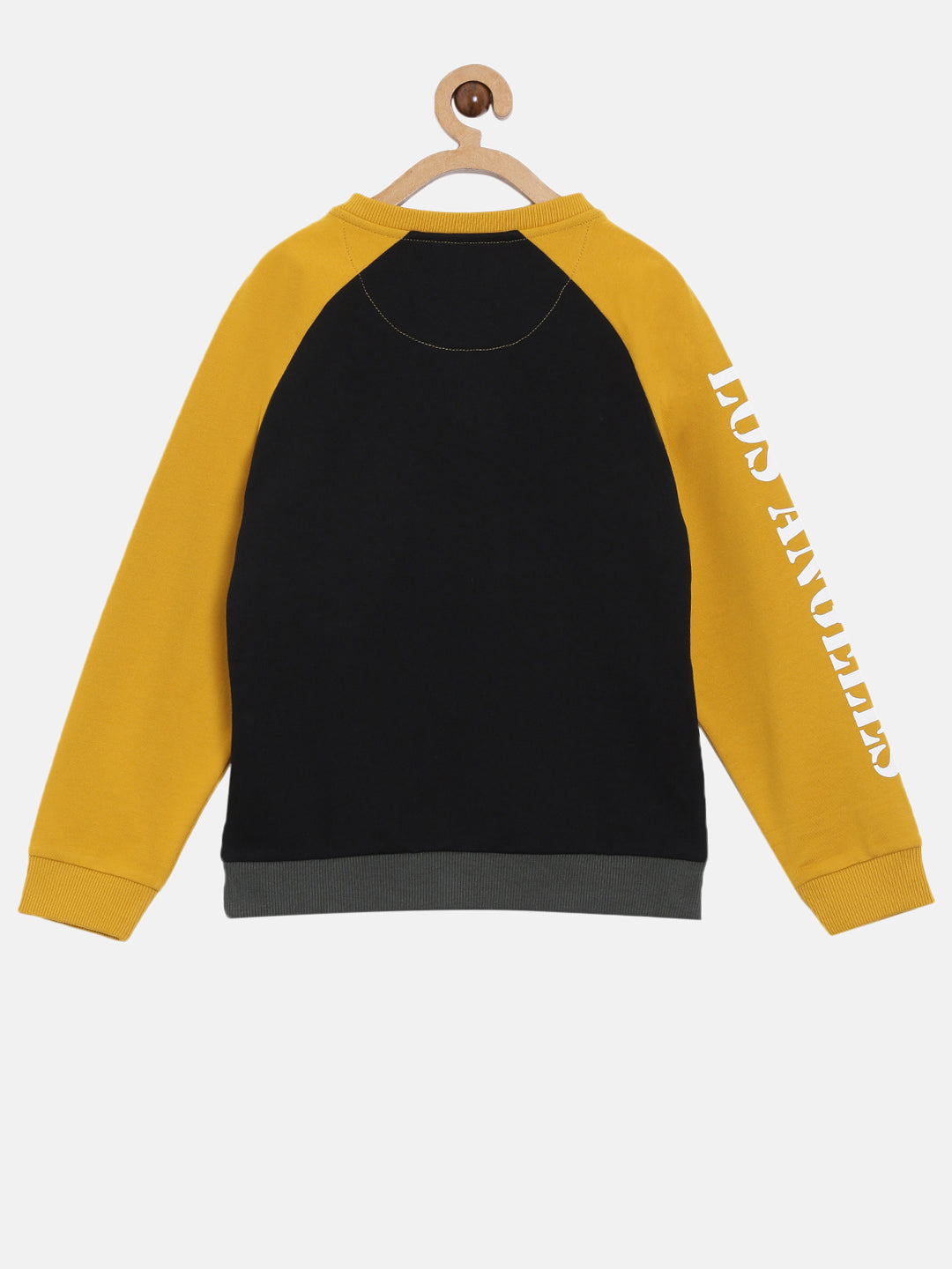 Trendy Colur blocked sweatshirt for boys