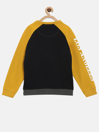 Trendy Colur blocked sweatshirt for boys